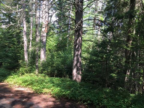 Vacant Land For Sale - Lake Placid Club Way<br/> Lake Placid, NY 12946