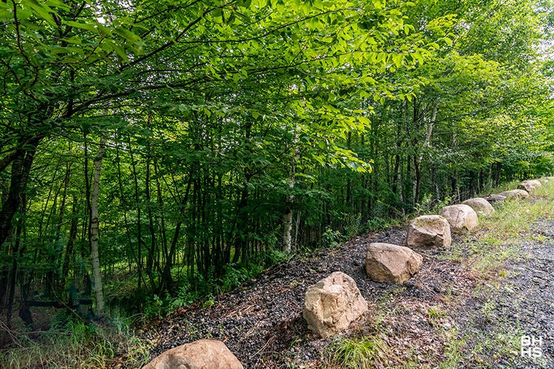 14 Mt Pisgah Park