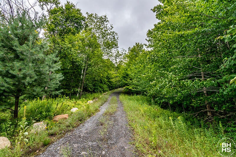 14 Mt Pisgah Park