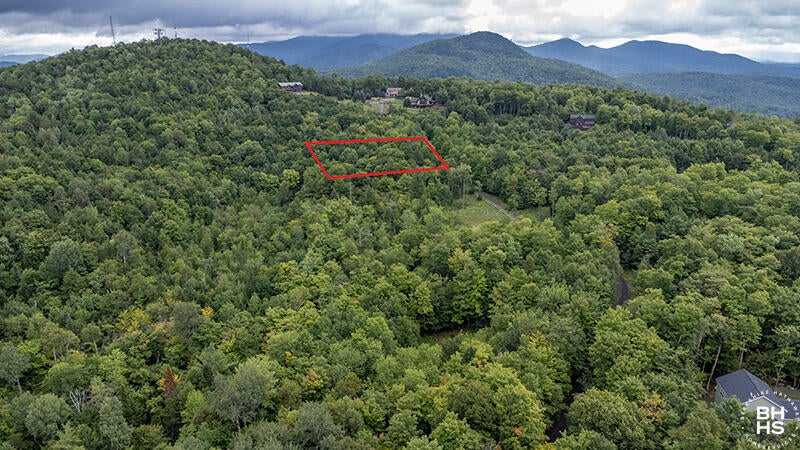 14 Mt Pisgah Park