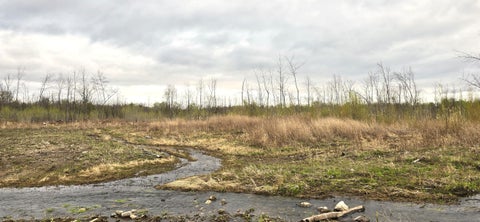 Vacant Land For Sale - Constable Burke Townline Road<br/> Franklin County, Burke, NY 12917
