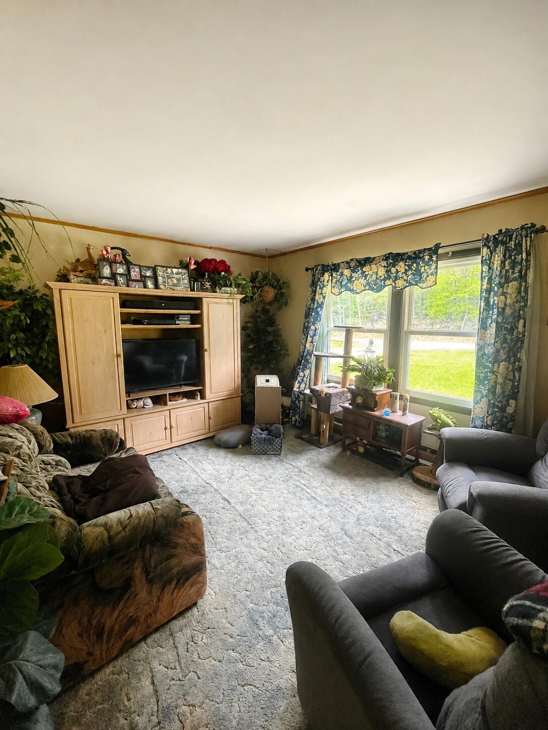 13 Little Bear Way