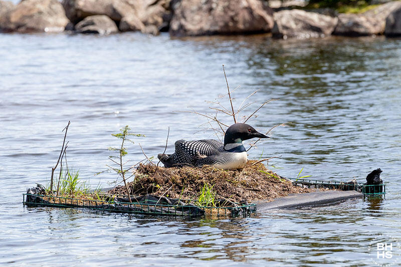 Ellenburg Depot, New York 12935, United States, 5 Bedrooms Bedrooms, ,4 BathroomsBathrooms,Residential,Active,56823