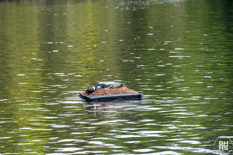 Ellenburg Depot, New York 12935, United States, 5 Bedrooms Bedrooms, ,4 BathroomsBathrooms,Residential,Active,56823