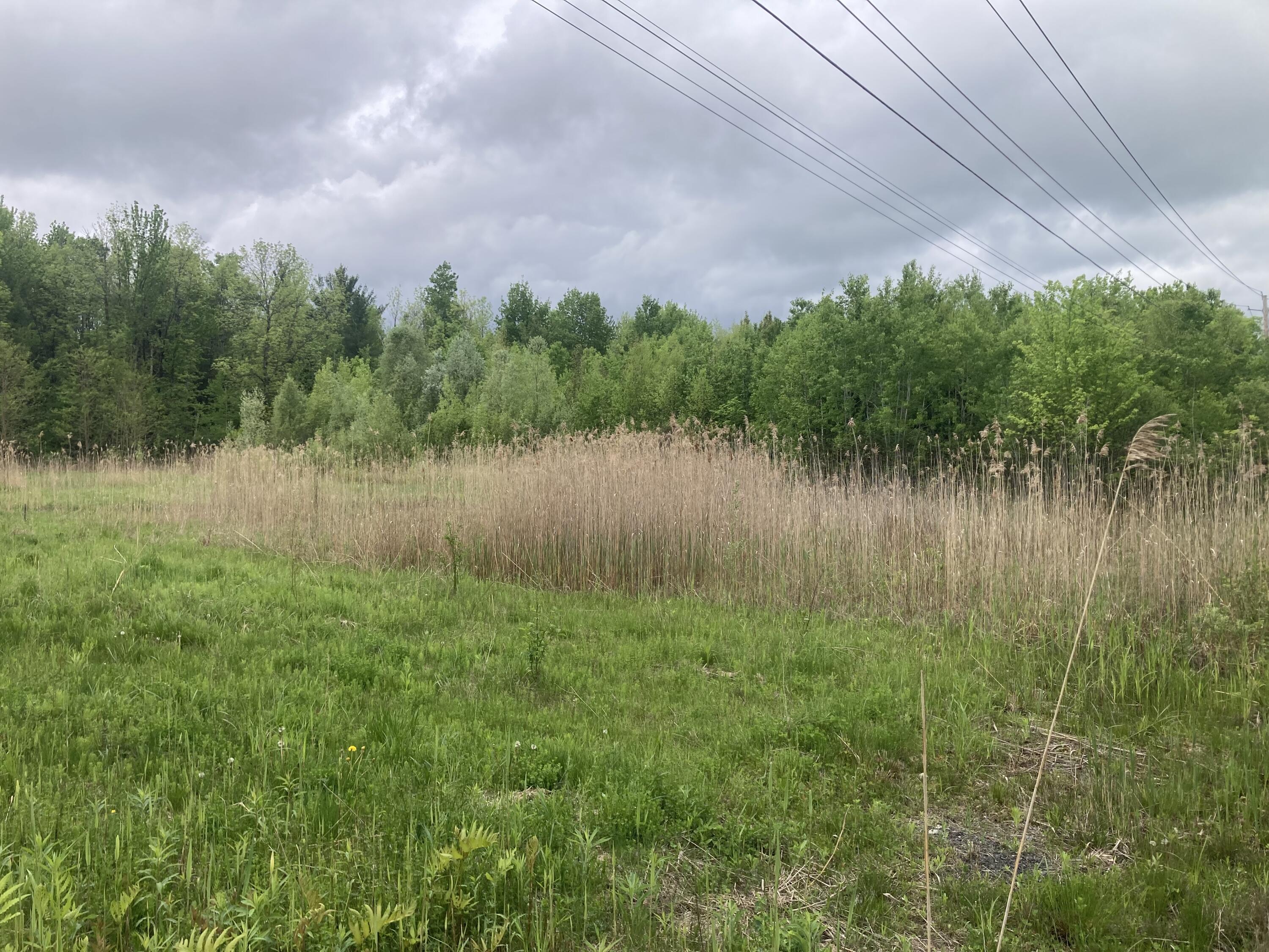 00 Wallace Hill Road, Plattsburgh, New York image 2