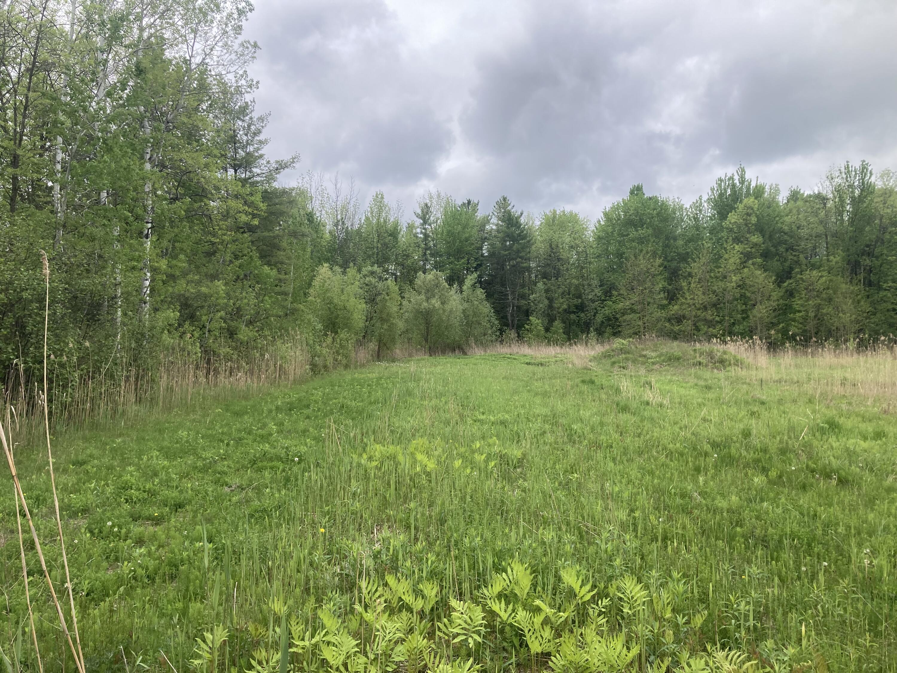 00 Wallace Hill Road, Plattsburgh, New York image 1