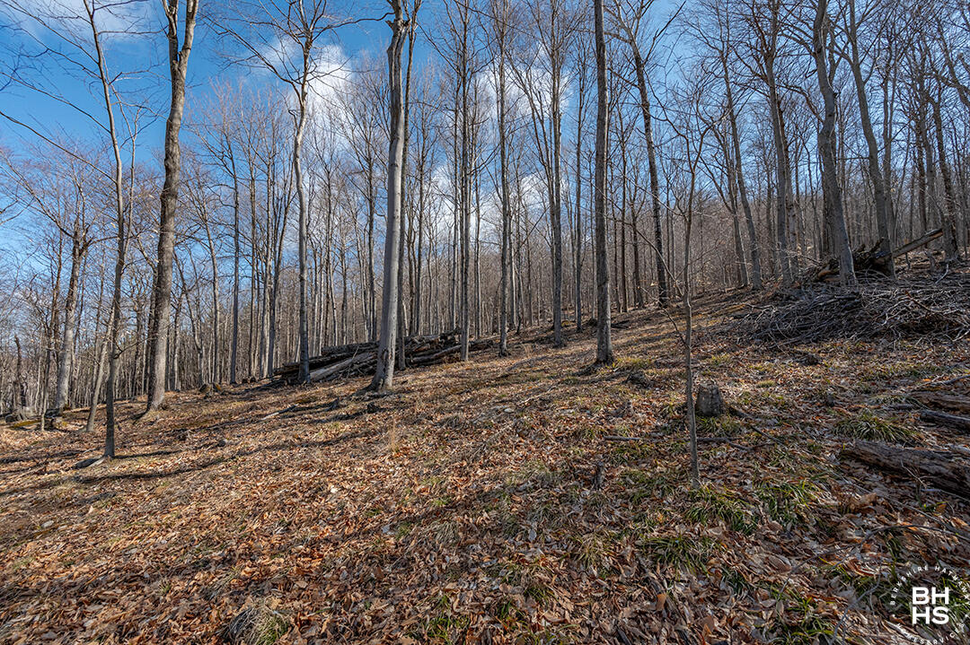 100 Moose Hill Way, Keene, New York image 18
