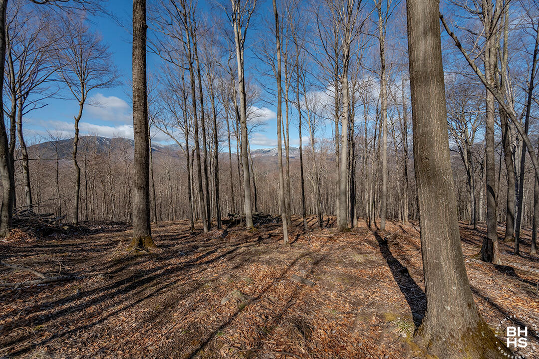 100 Moose Hill Way, Keene, New York image 9