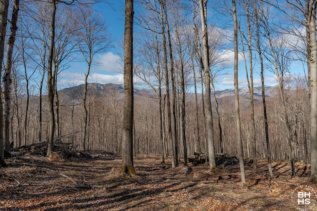 100 Moose Hill Way, Keene, New York image 1