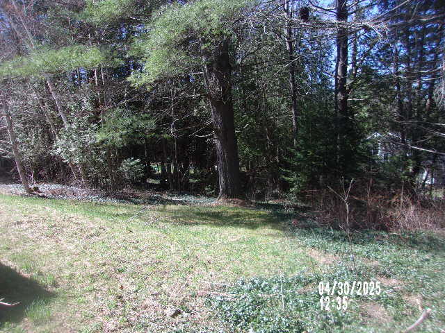 5579 Nys Route 28n, Newcomb, New York image 9