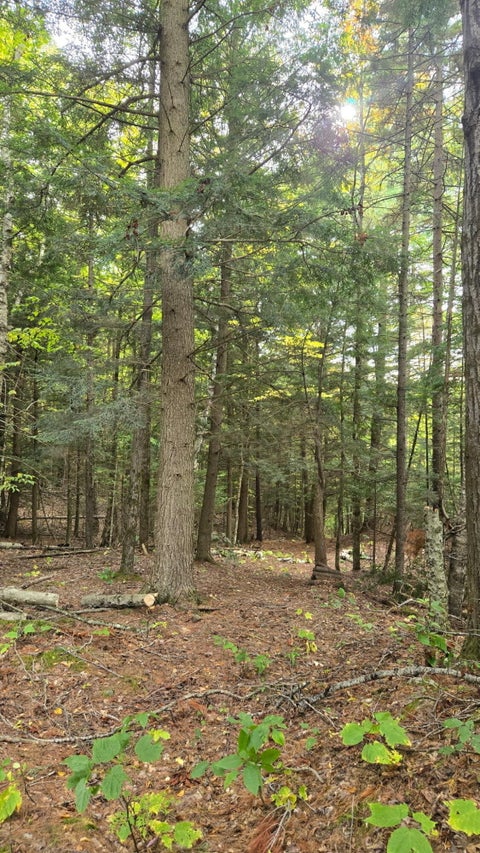 Vacant Land For Sale - Priest Road<br/> Clinton County, Redford, NY 12978