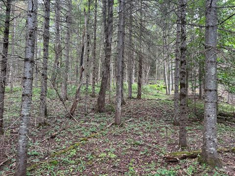 Vacant Land For Sale - State Route 3<br/> Saranac, NY 12981