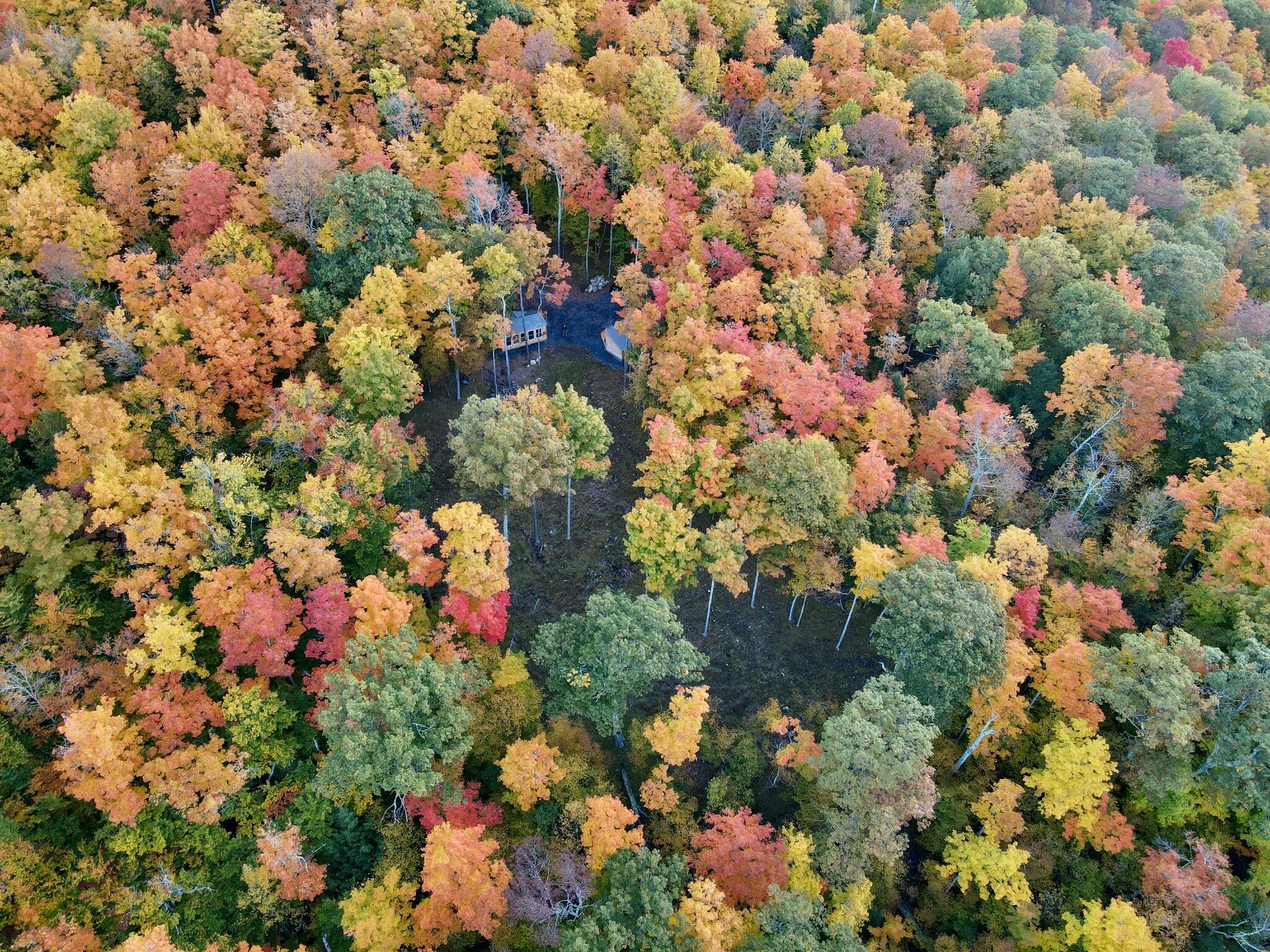 Keene, New York 12942, United States, 1 Bedroom Bedrooms, ,Residential,Active,178262