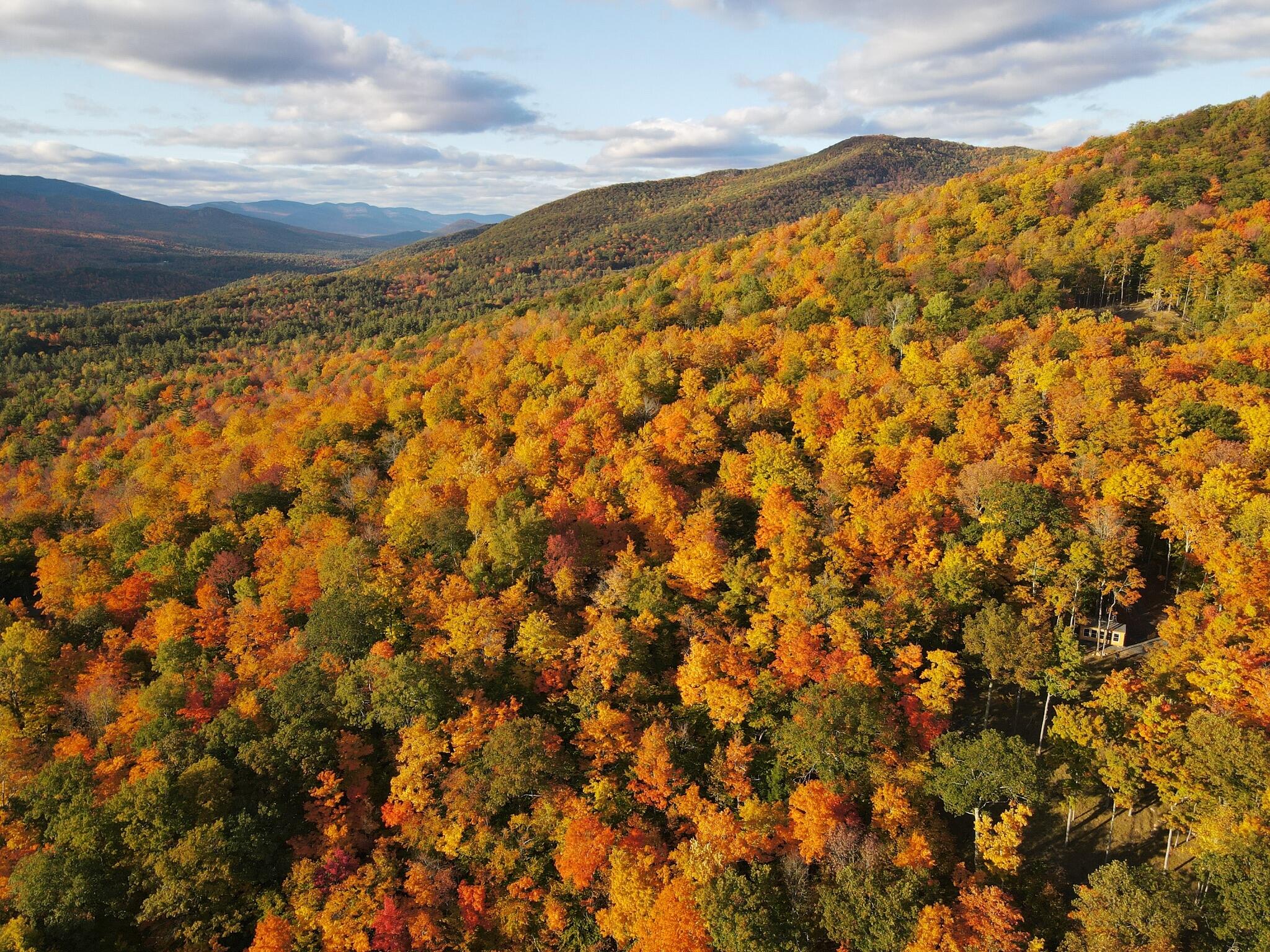 Keene, New York 12942, United States, 1 Bedroom Bedrooms, ,Residential,Active,178262