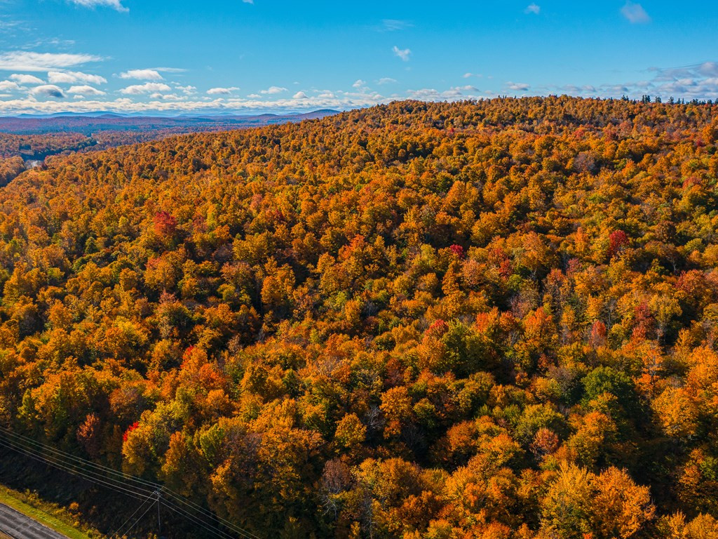 Lot #4 Raquette River Road, Parishville, New York image 10