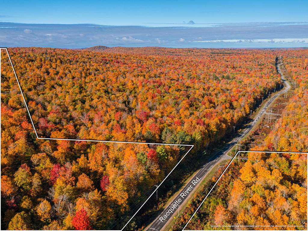 Lot #4 Raquette River Road, Parishville, New York image 6