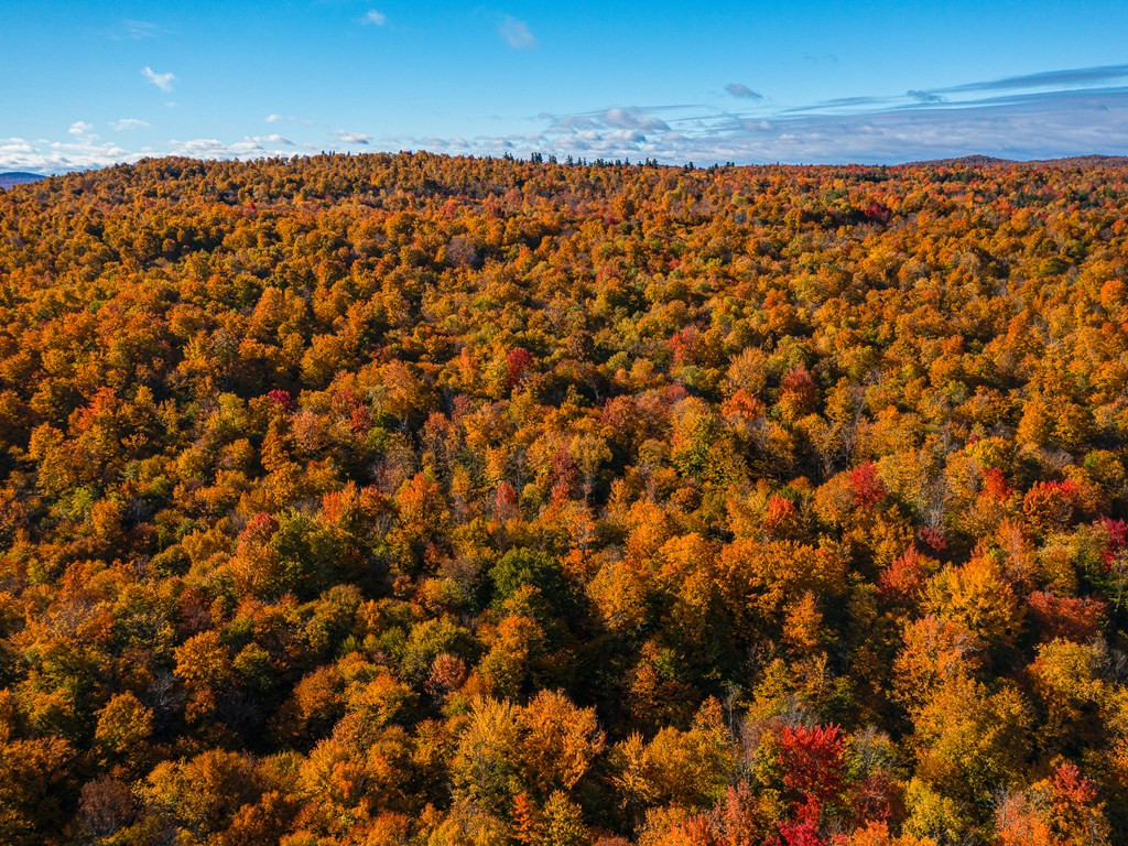 Lot #4 Raquette River Road, Parishville, New York image 9