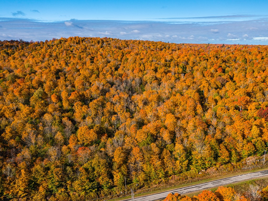 Lot #4 Raquette River Road, Parishville, New York image 23