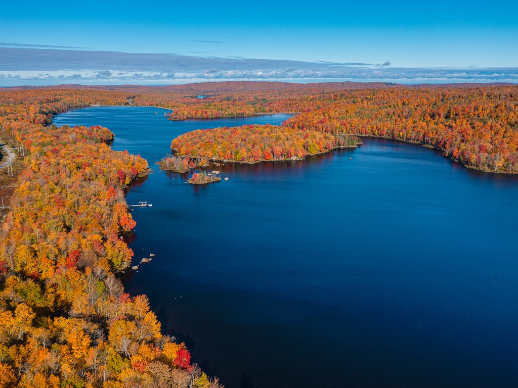 Lot #4 Raquette River Road, Parishville, New York image 5