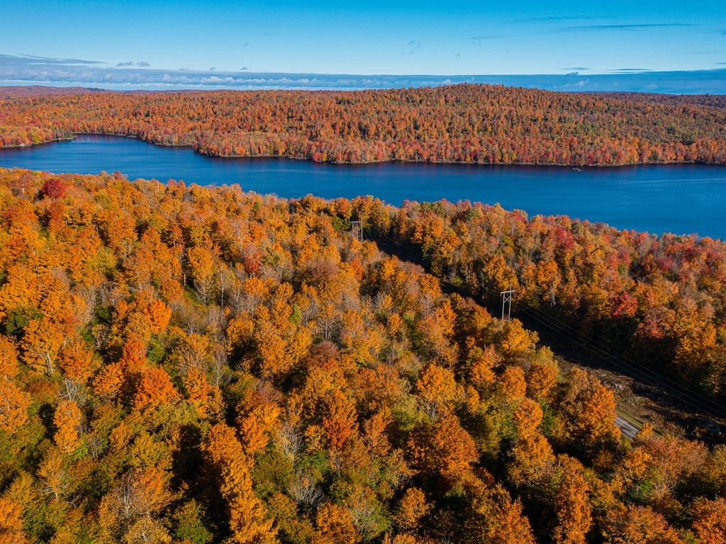 Lot #4 Raquette River Road, Parishville, New York image 16