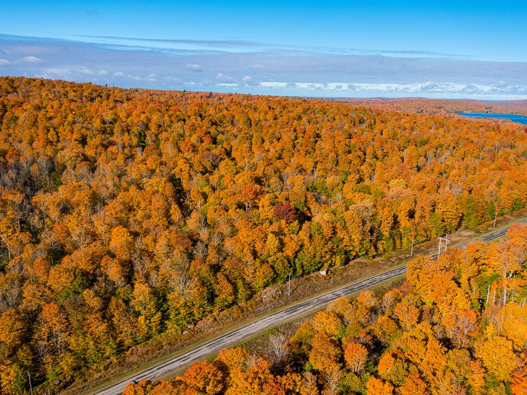 Lot #4 Raquette River Road, Parishville, New York image 24