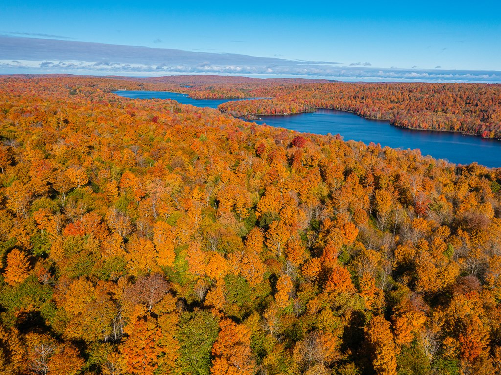 Lot #4 Raquette River Road, Parishville, New York image 17