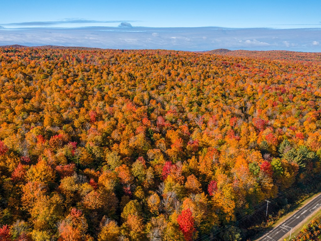 Lot #4 Raquette River Road, Parishville, New York image 7