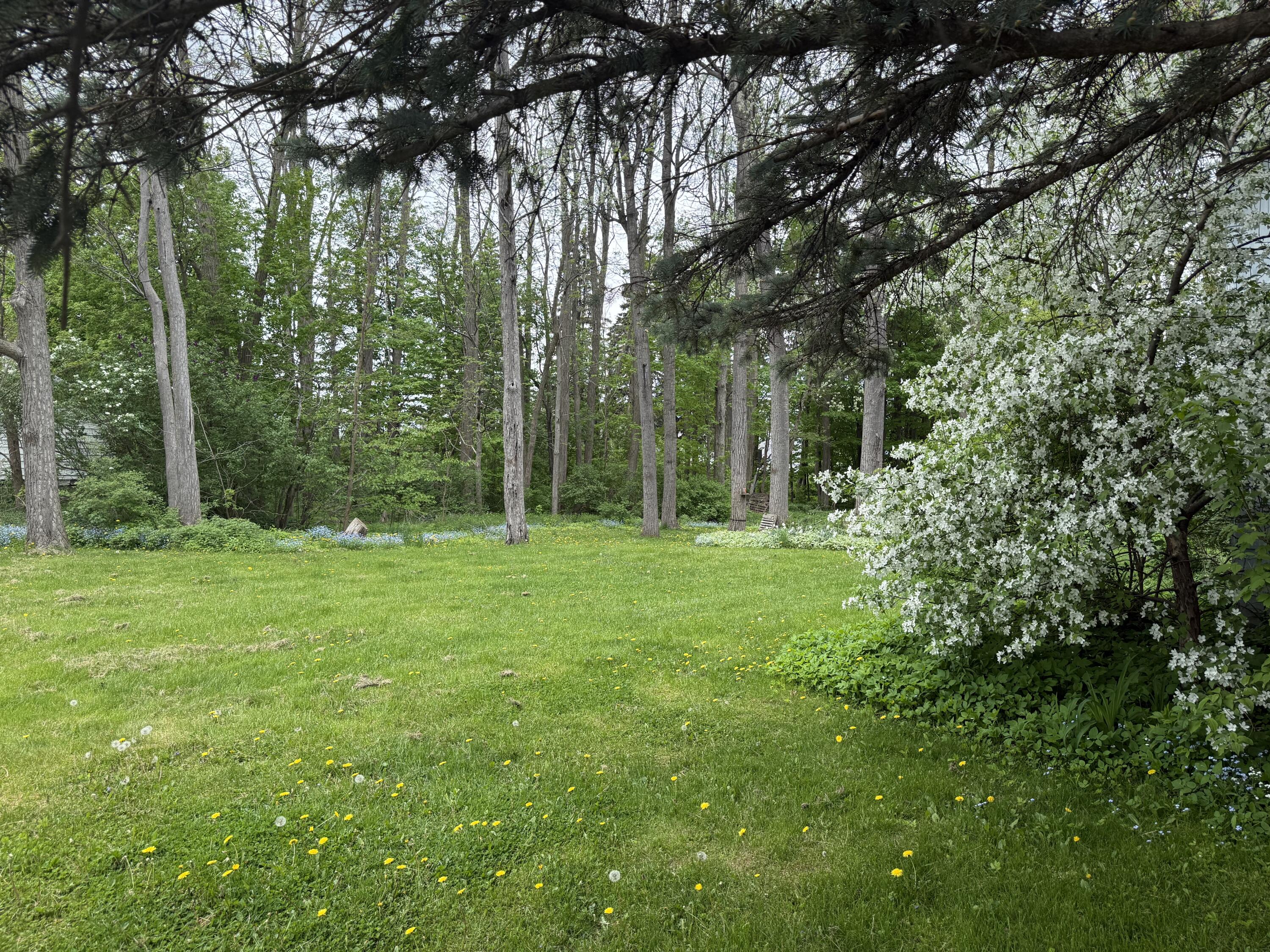 101 Franklin Street, Malone, New York image 22