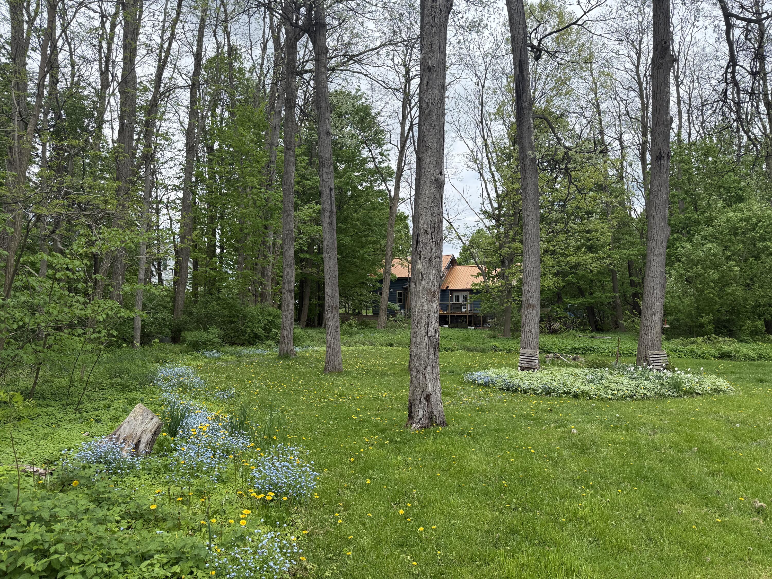 101 Franklin Street, Malone, New York image 24