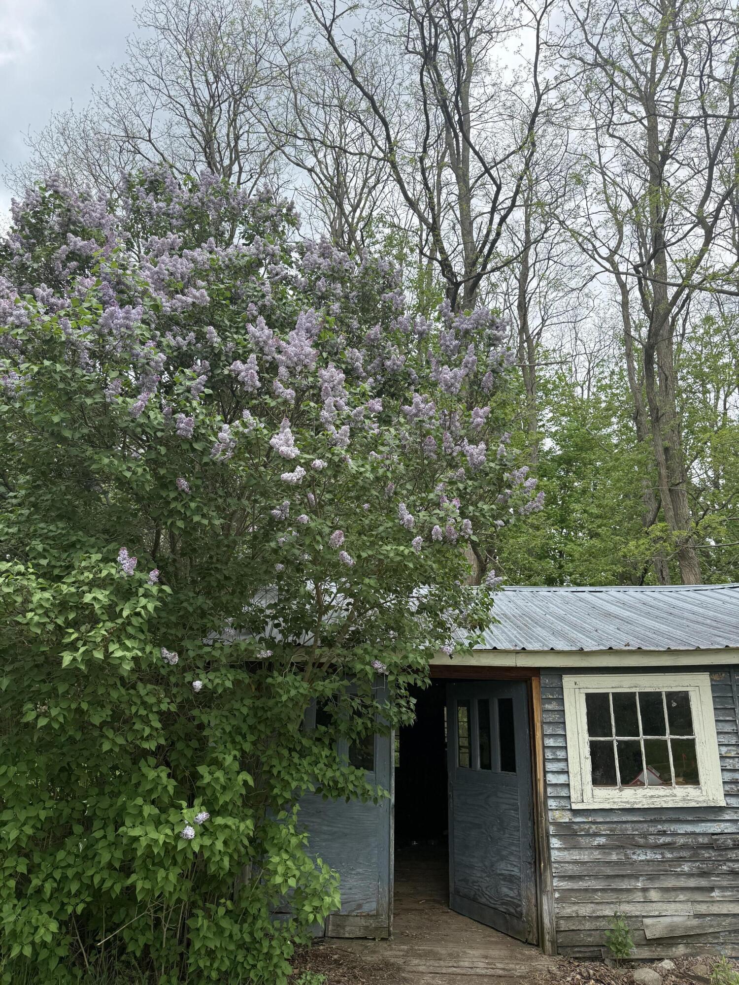 101 Franklin Street, Malone, New York image 27