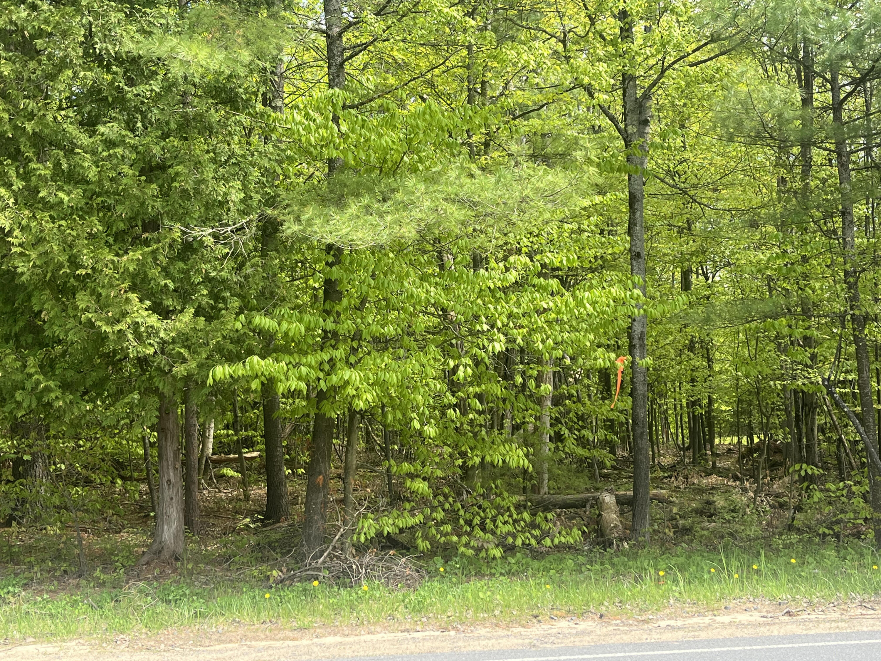 00 Trudeau Road, Cadyville, New York image 1