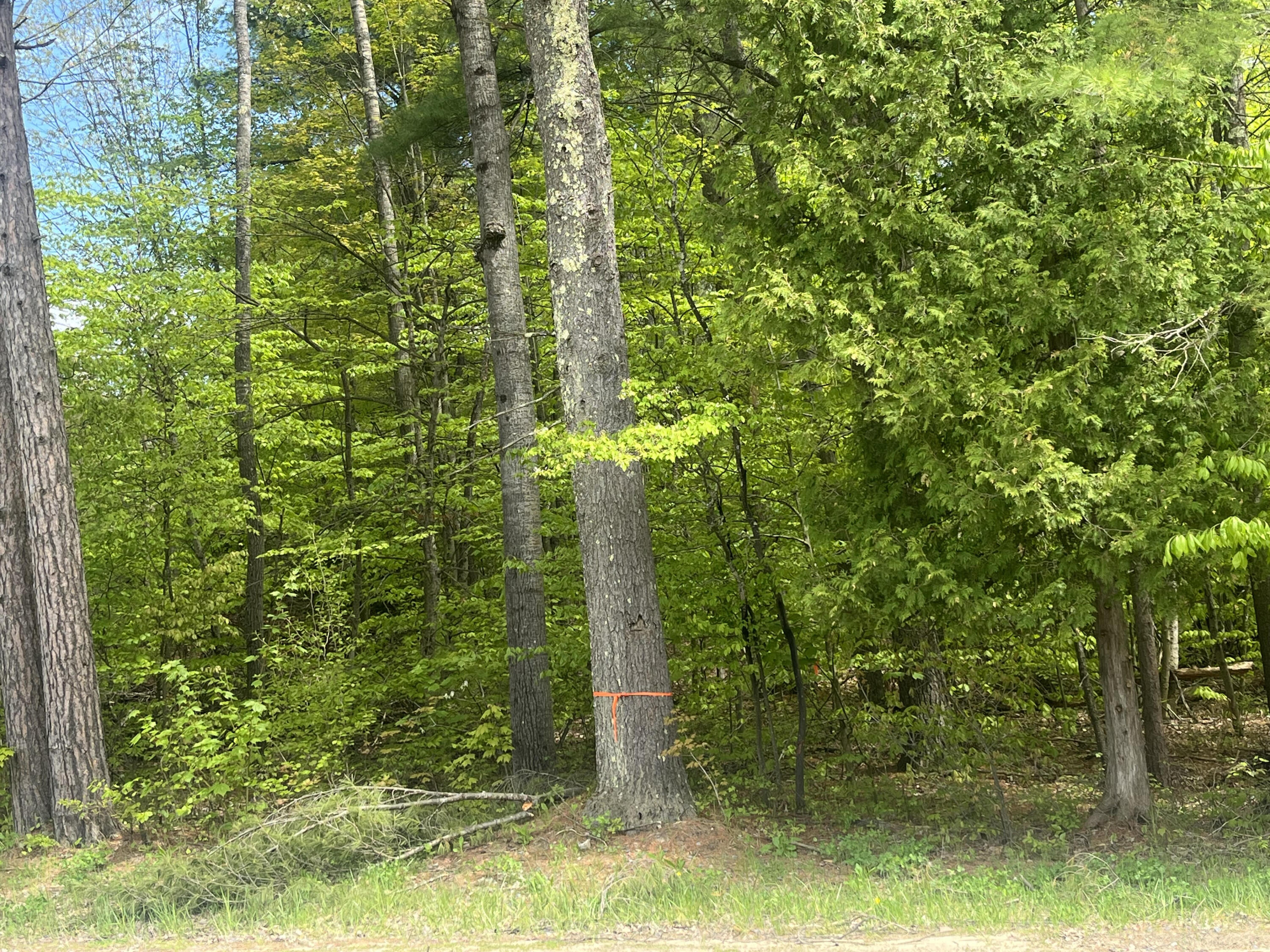 00 Trudeau Road, Cadyville, New York image 2