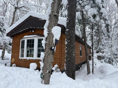 Photo of 724 Whitetail Lane, Old Forge, NY 13420 (MLS # 206476)