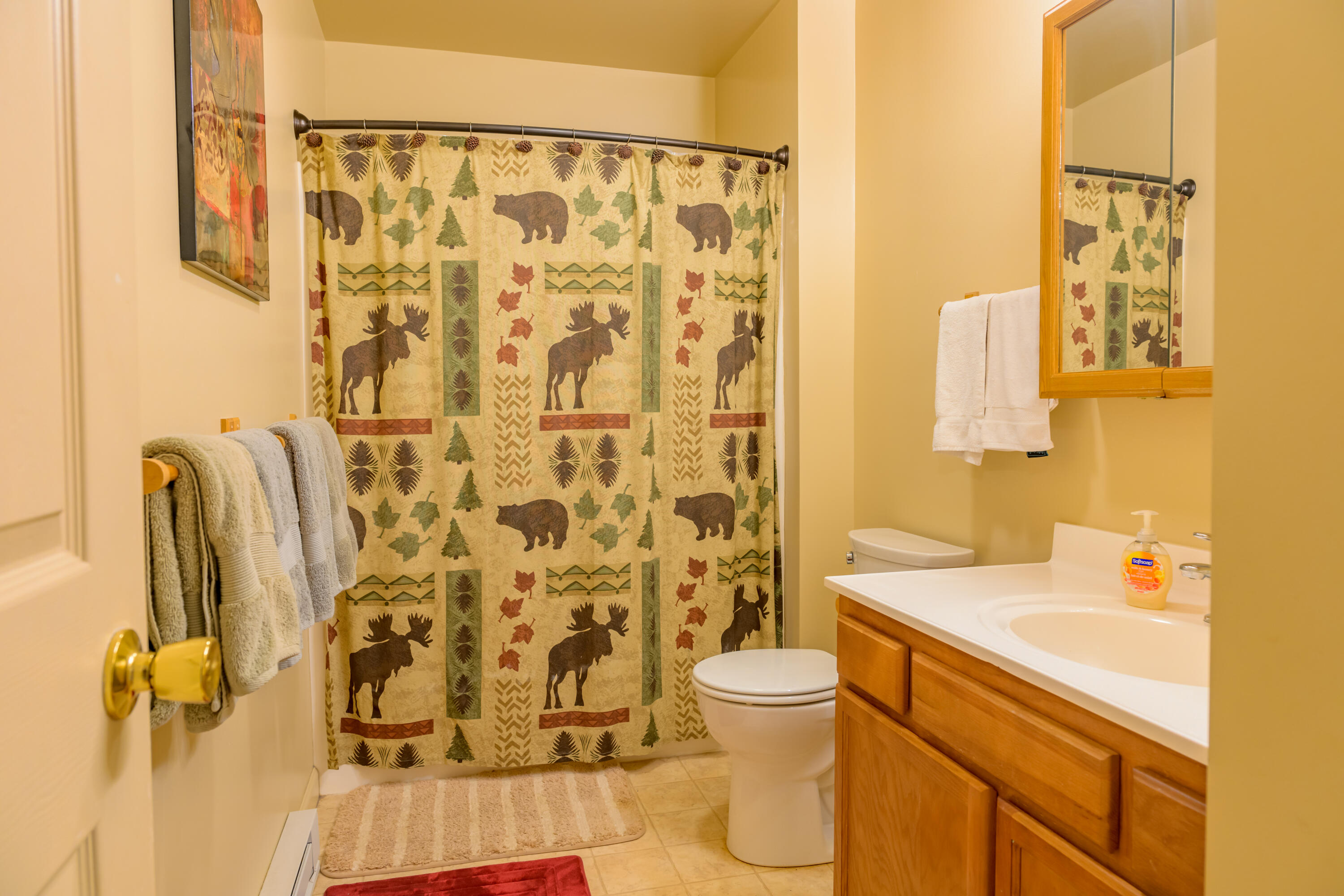 33 Fir Way #2, Lake Placid, New York image 16