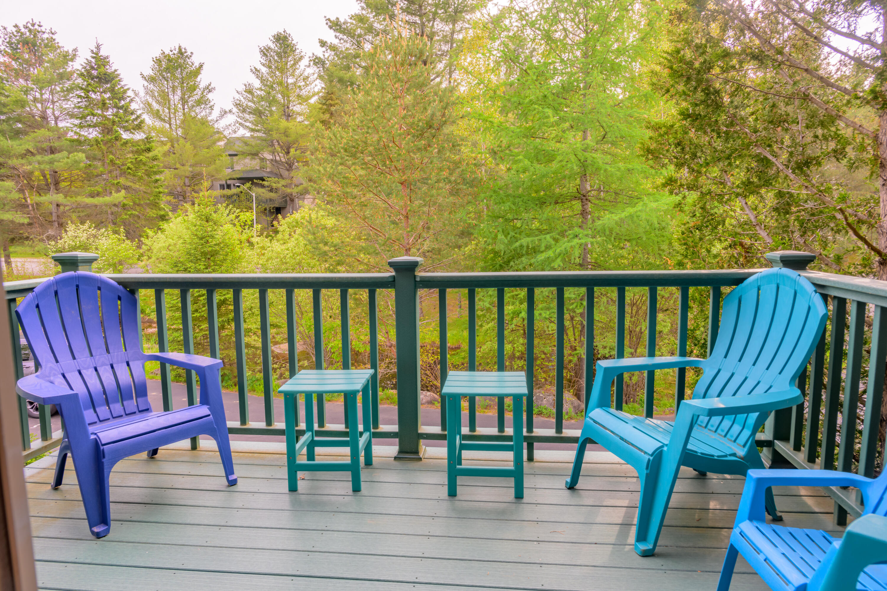 33 Fir Way #2, Lake Placid, New York image 5