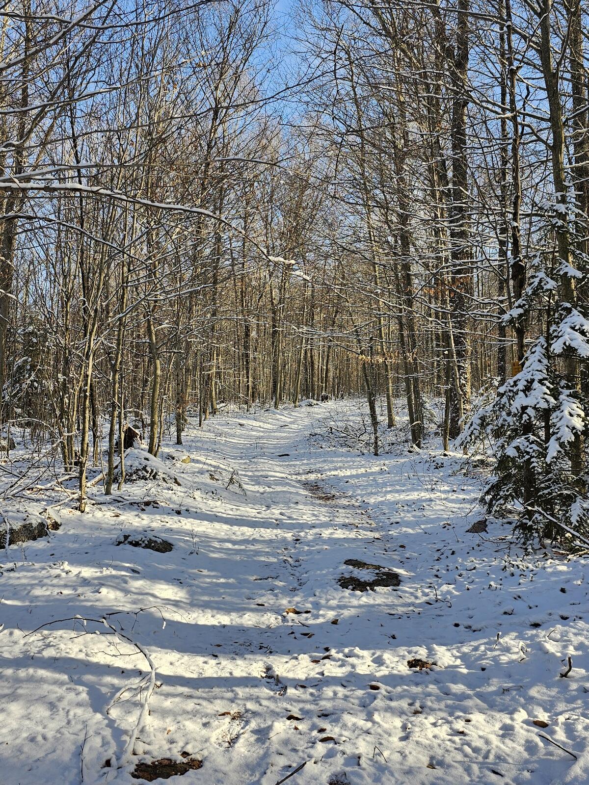 Off Nys Route 56, Colton, New York image 12