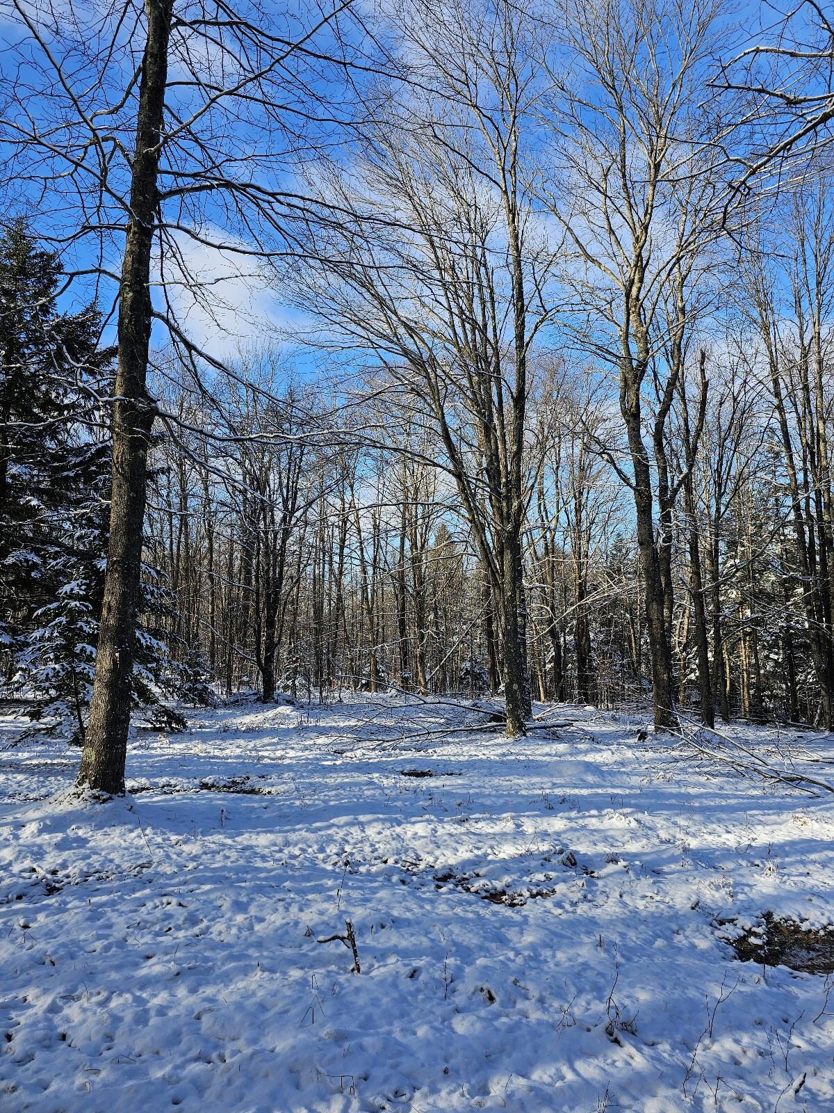 Off Nys Route 56, Colton, New York image 10