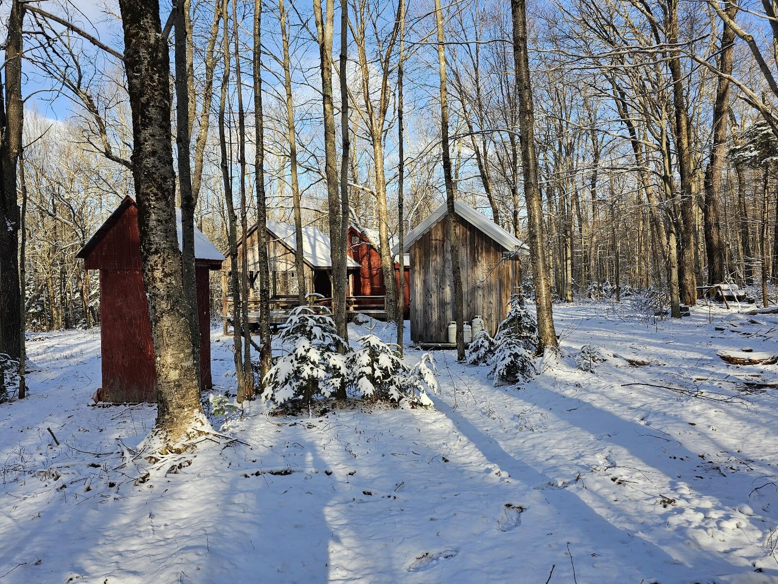 Off Nys Route 56, Colton, New York image 8