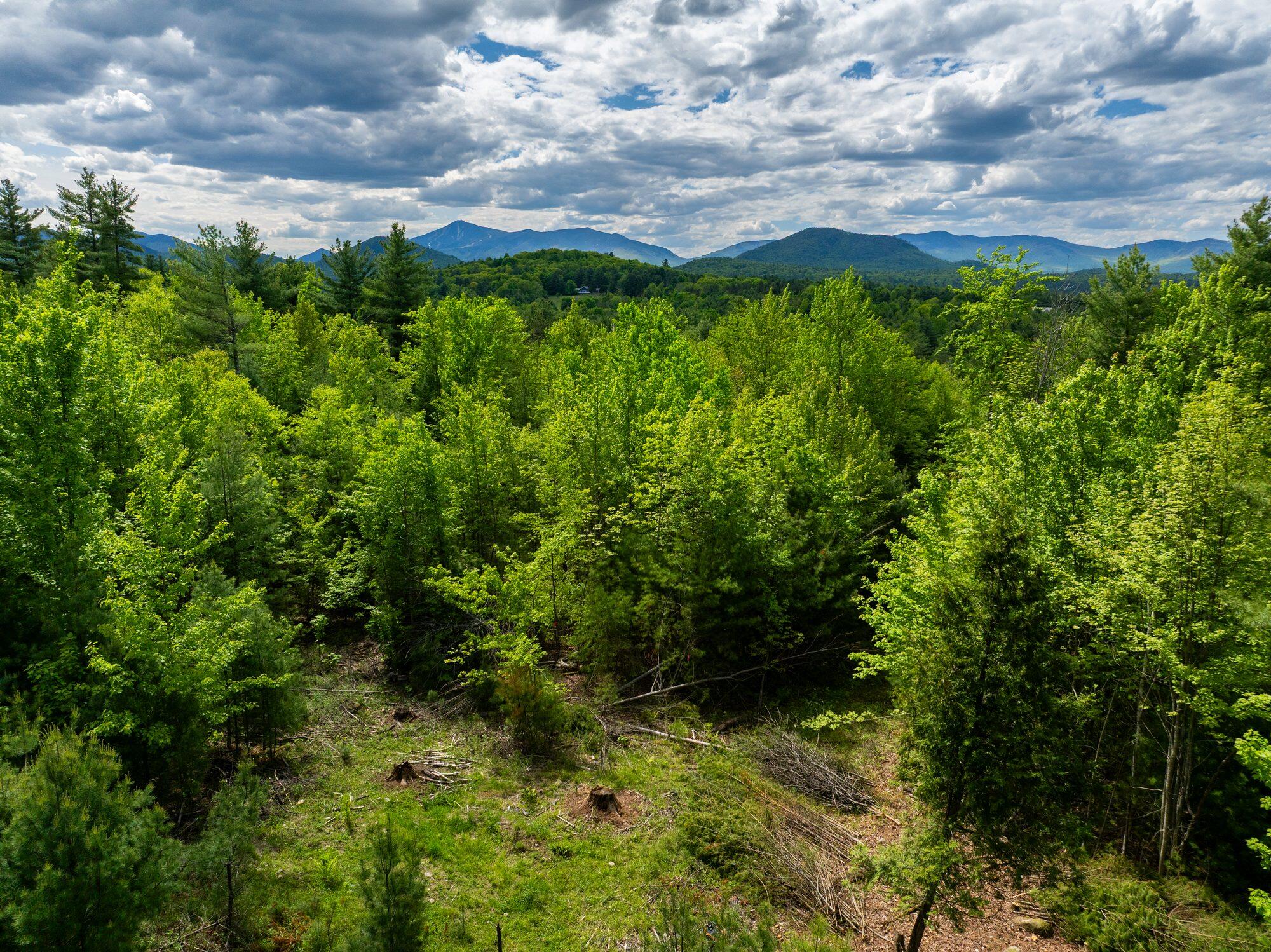 Lot 2 & 3 Wildernesscape Way, Jay, New York image 10