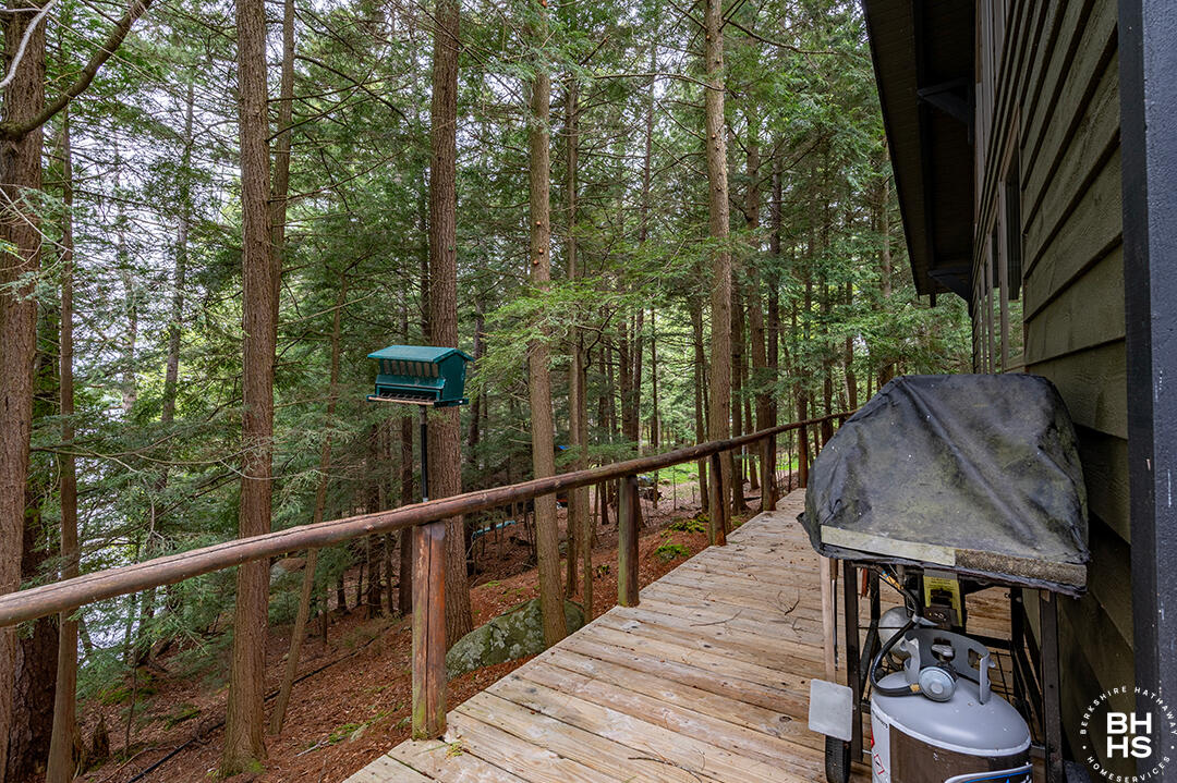 690 Bartlett Carry Road, Saranac Lake, New York image 16