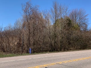 STATE RTE 37, MALONE, NY 12953 - Image 43f4d4d0bd2be4a1fdcb87679dd706b7/1297860948