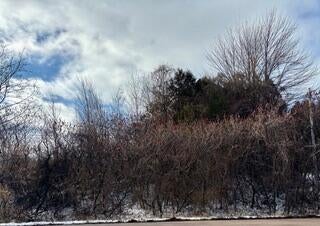 0 State Route 37