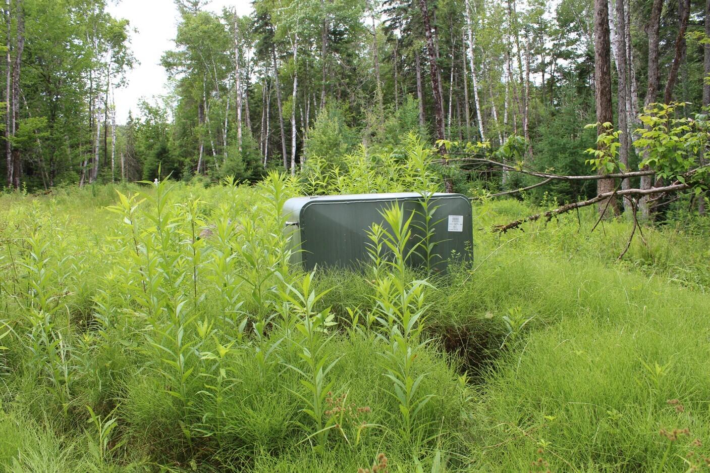 Lot 3 Chamberlain Rd