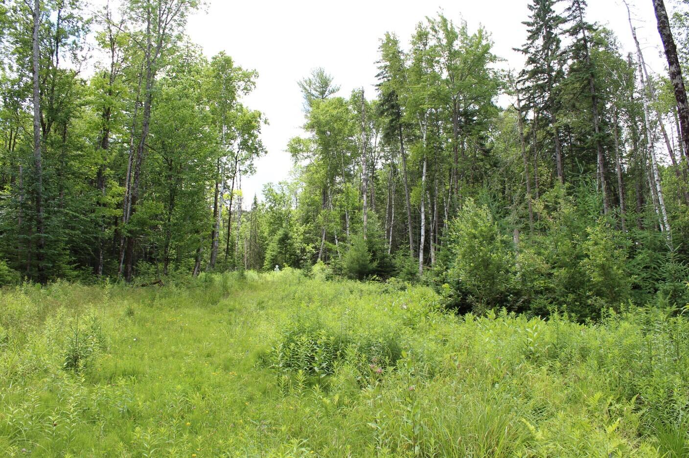 Lot 3 Chamberlain Rd