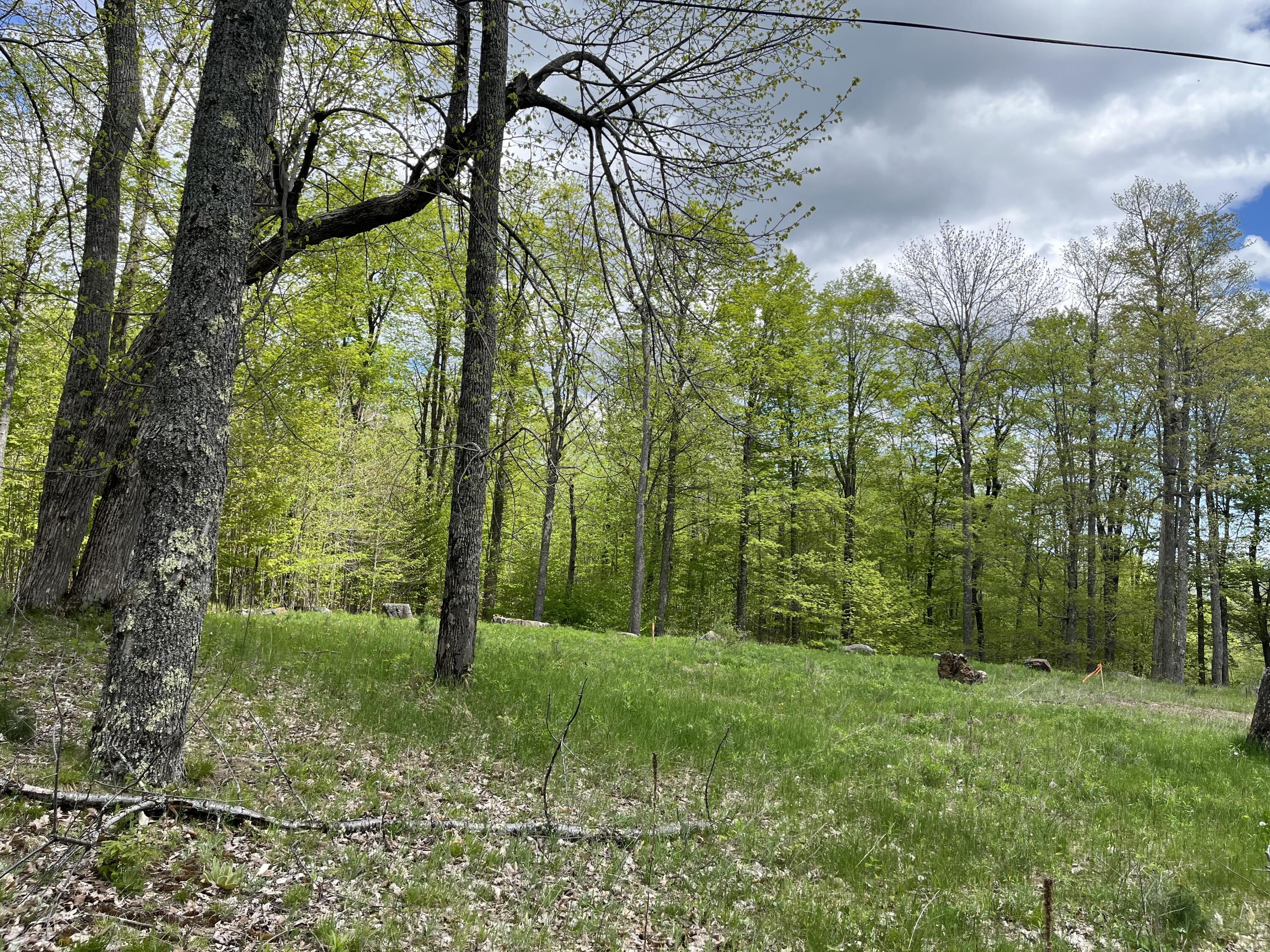 Lot 33 Mt. Pisgah Park, Saranac Lake, New York image 11