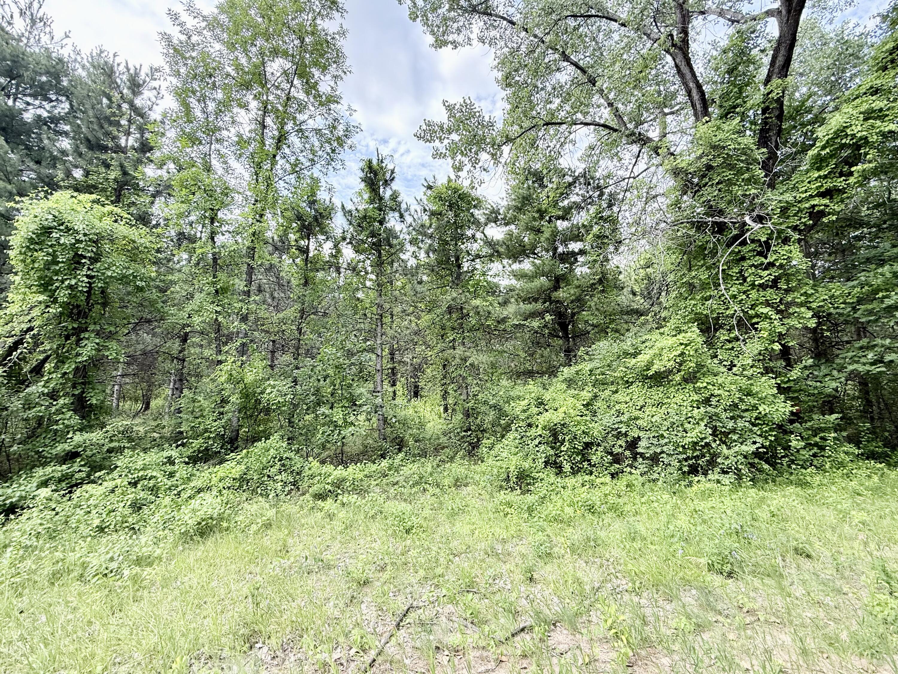0 Chasm Road Lot 5