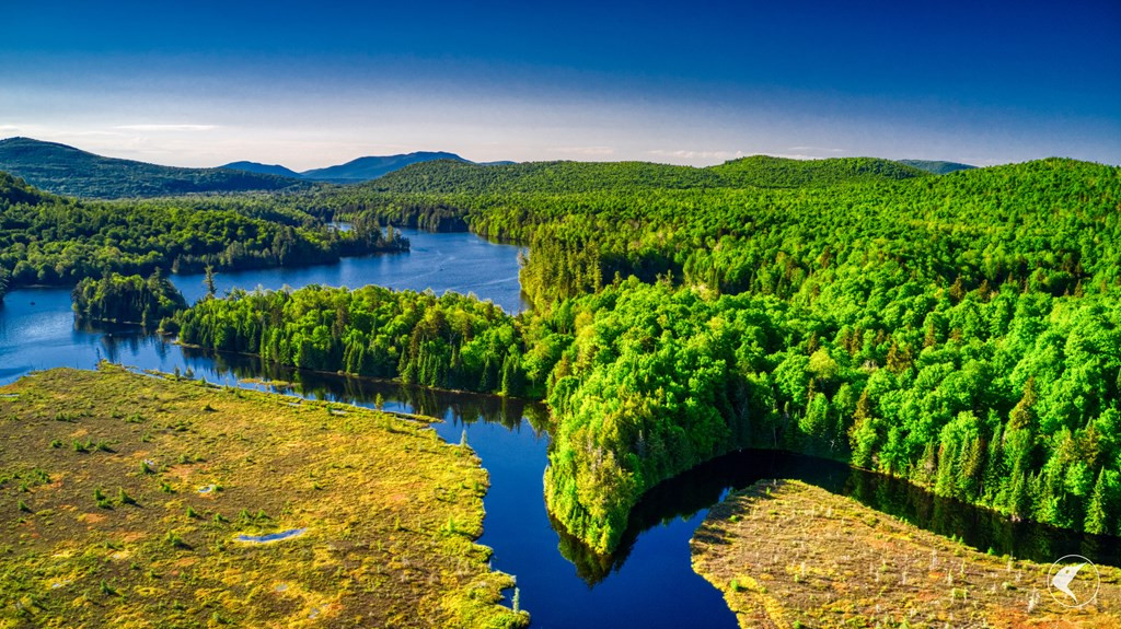 20 Twin Ponds Preserve, Malone, New York image 10