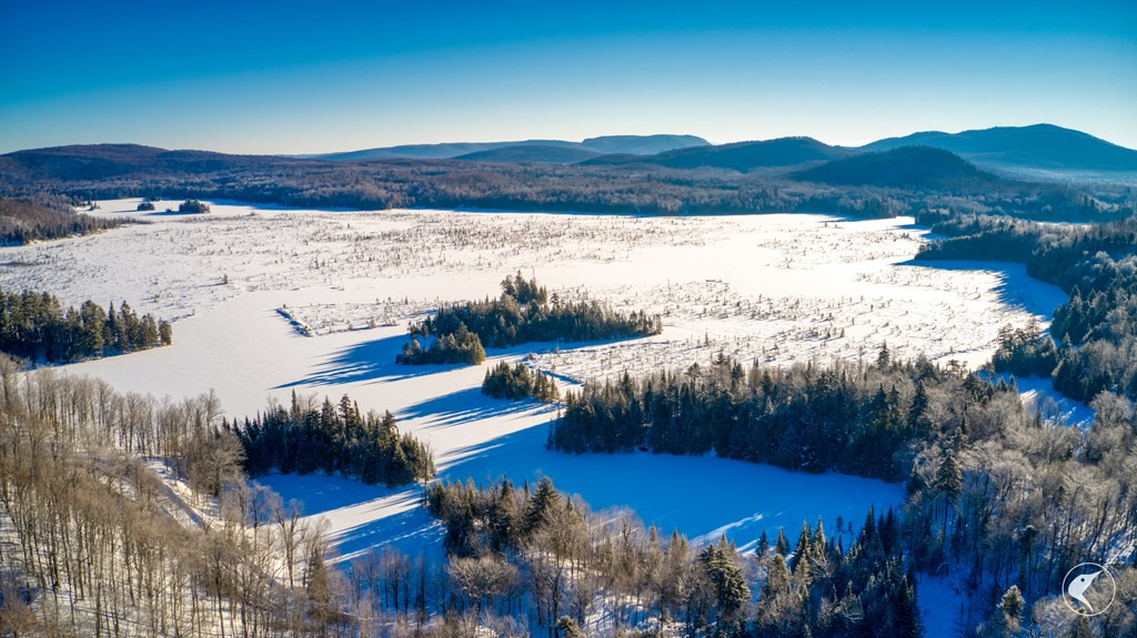 20 Twin Ponds Preserve, Malone, New York image 36