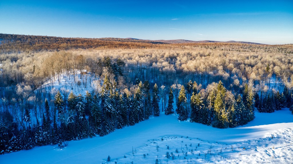 20 Twin Ponds Preserve, Malone, New York image 29