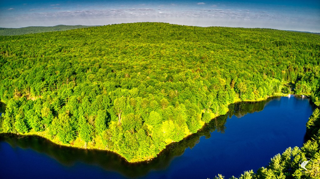 20 Twin Ponds Preserve, Malone, New York image 3